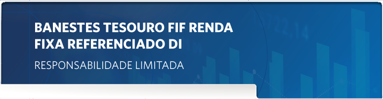 Banner VIP DI