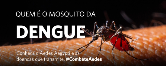 Quem é o mosquito da dengue